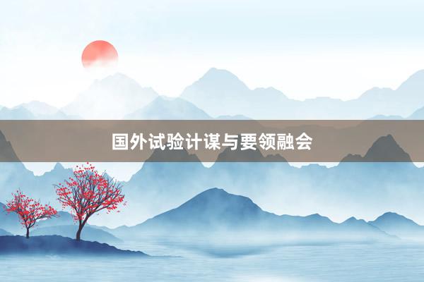 国外试验计谋与要领融会