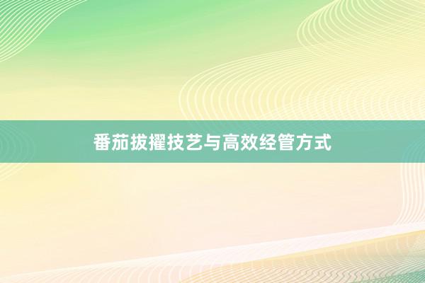 番茄拔擢技艺与高效经管方式