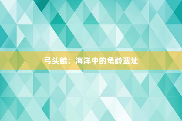 弓头鲸：海洋中的龟龄遗址