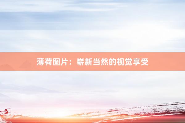 薄荷图片：崭新当然的视觉享受